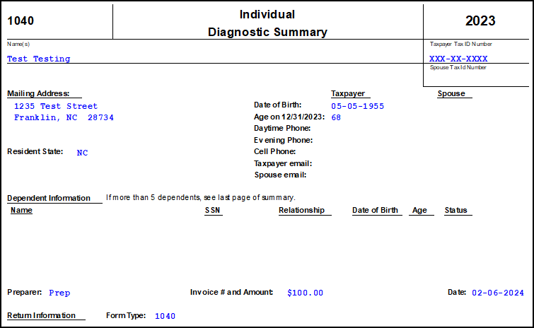 Image of the 1040 Diagnostic Summary in View/Print mode